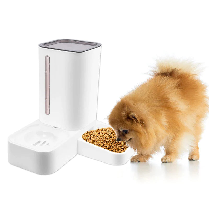 2 In 1 Eco-friendly Automatic Pet Feeder