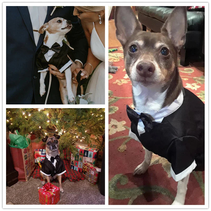 Stylish Dog Black Tie Tuxedo