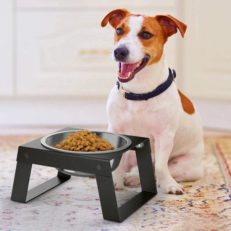 Stainless Steel Elevated Dog Bowls