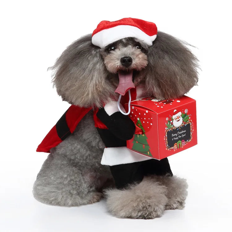 Funny Santa Dog Costume