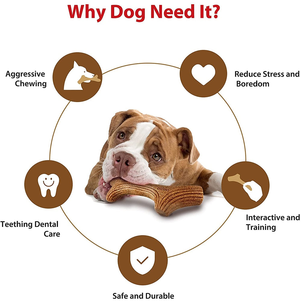 Almost Indestructible Dog Dental Chews Toys