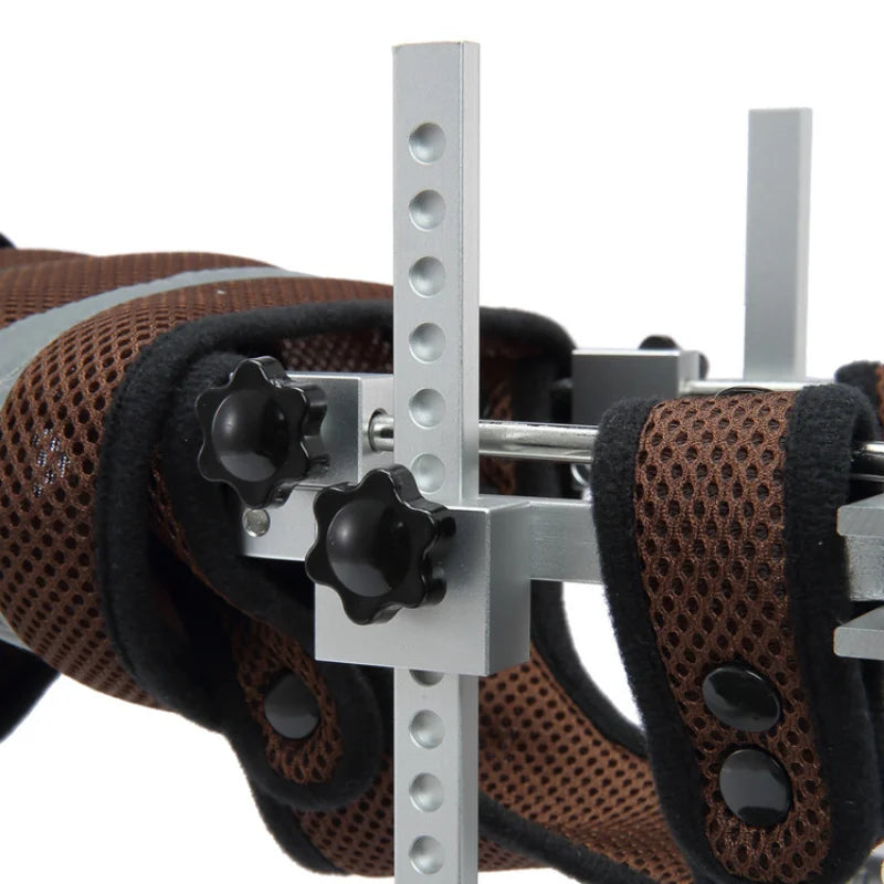 Hind Leg Walking Pet Wheelchair