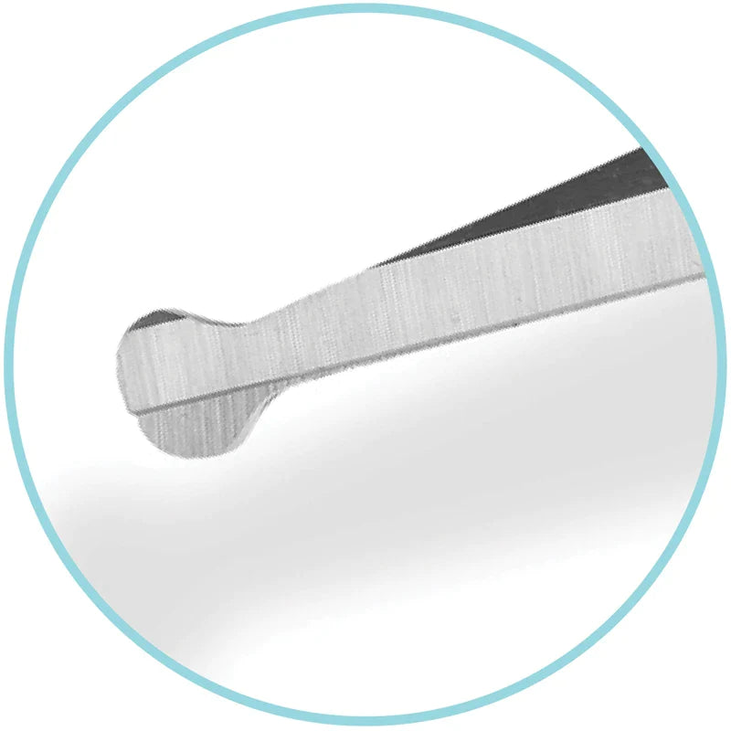 Stainless Steel Rounded Tips Dog Scissors