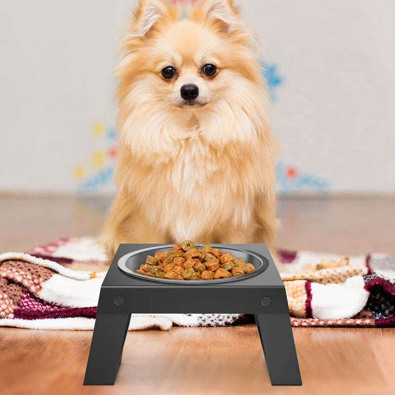 Stainless Steel Elevated Dog Bowls