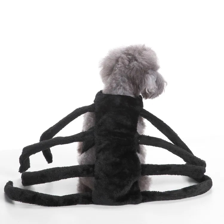 Funny Black Spider Dog Costume