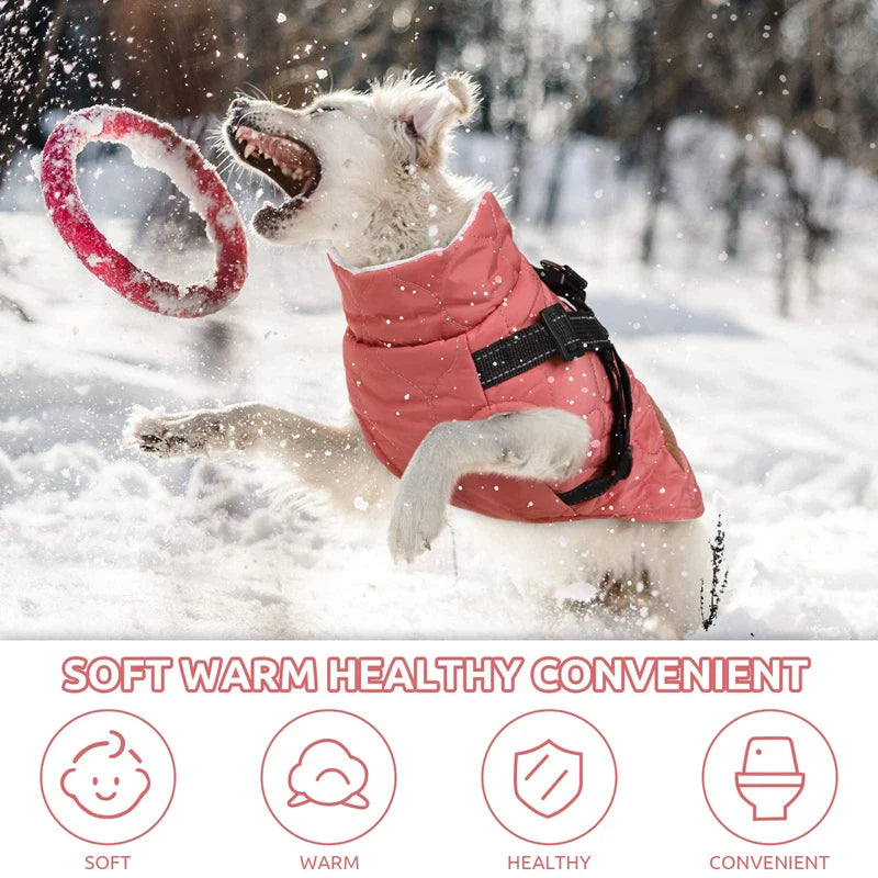 Turtleneck Dog Jacket With Harness