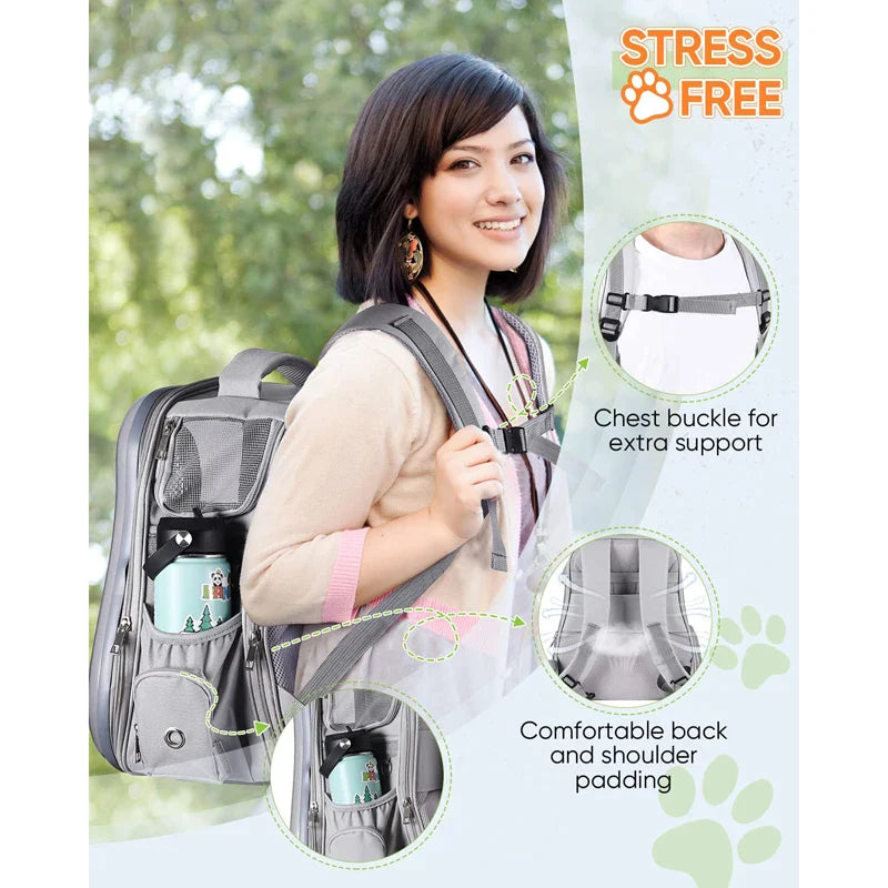 Transparent Bubble Dog Backpack