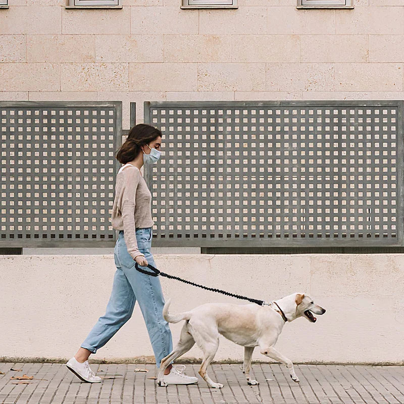 Heavy-duty Metal Clasp Dog Lead