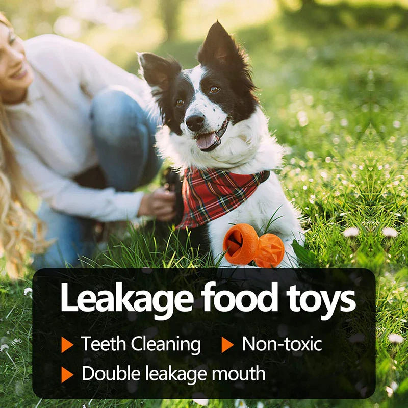 Bone Teething Tough Dog Toy