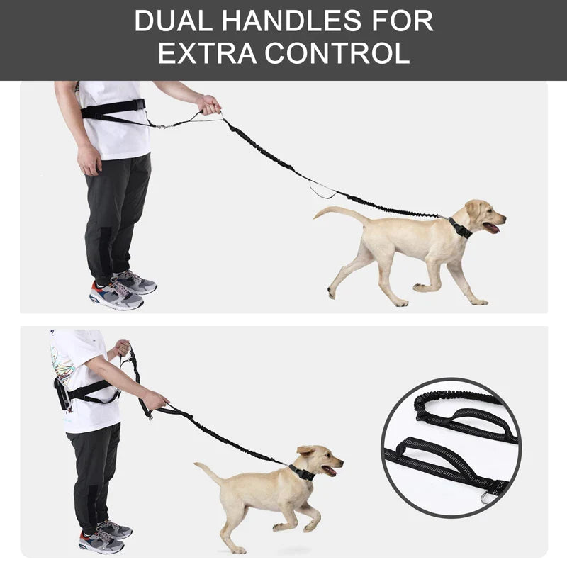 Bungees Reflective 2 Handles Dog Leash