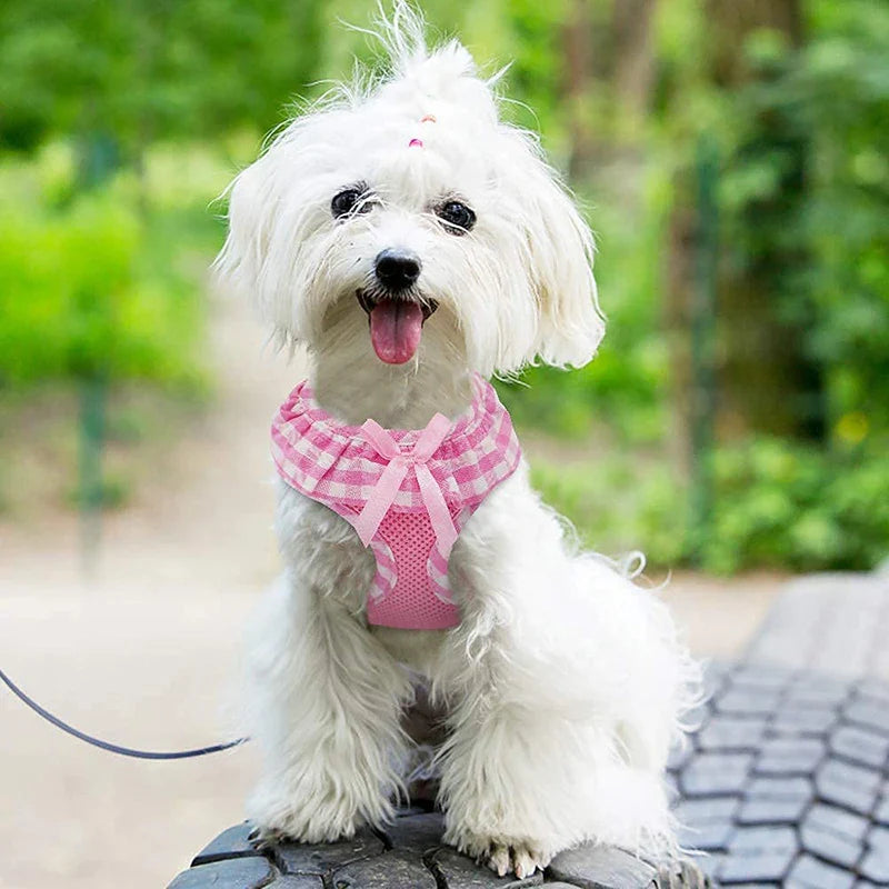 Lovely Ribbon Girl Dog Harness