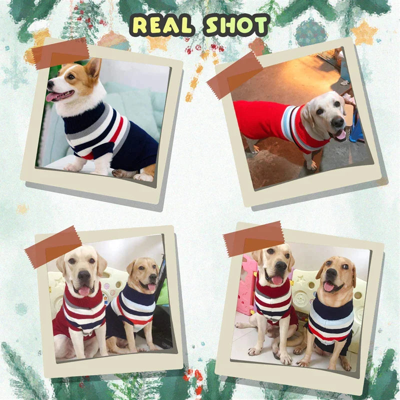 Turtleneck Striped Dog Sweaters