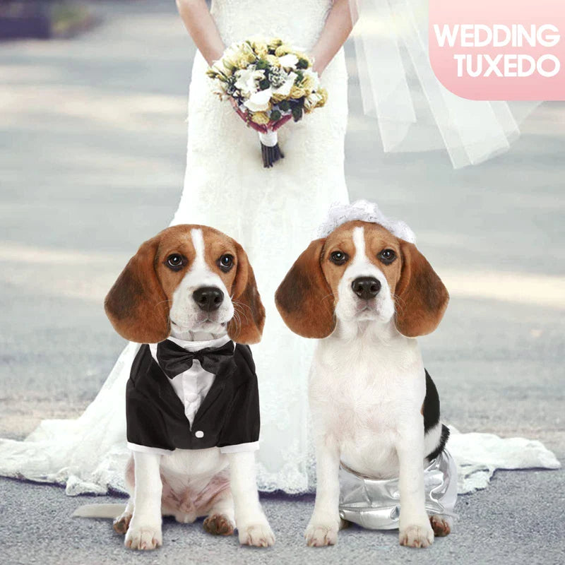 Stylish Dog Black Tie Tuxedo