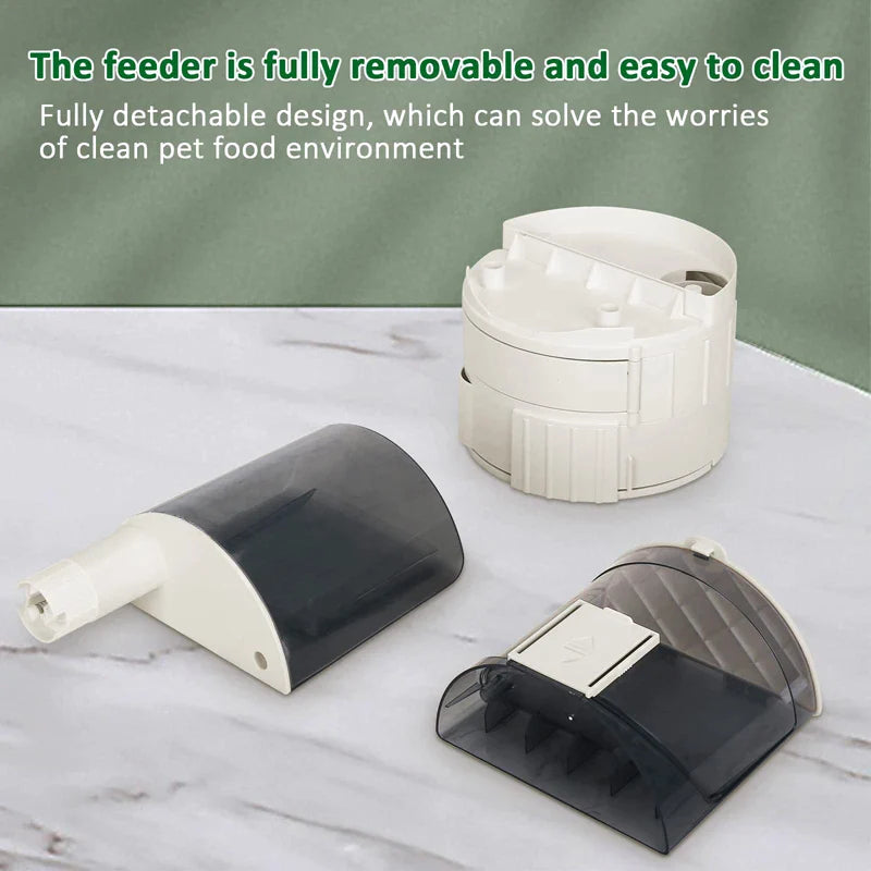 2 In 1 Eco-friendly Large Capacity Dog Bowl