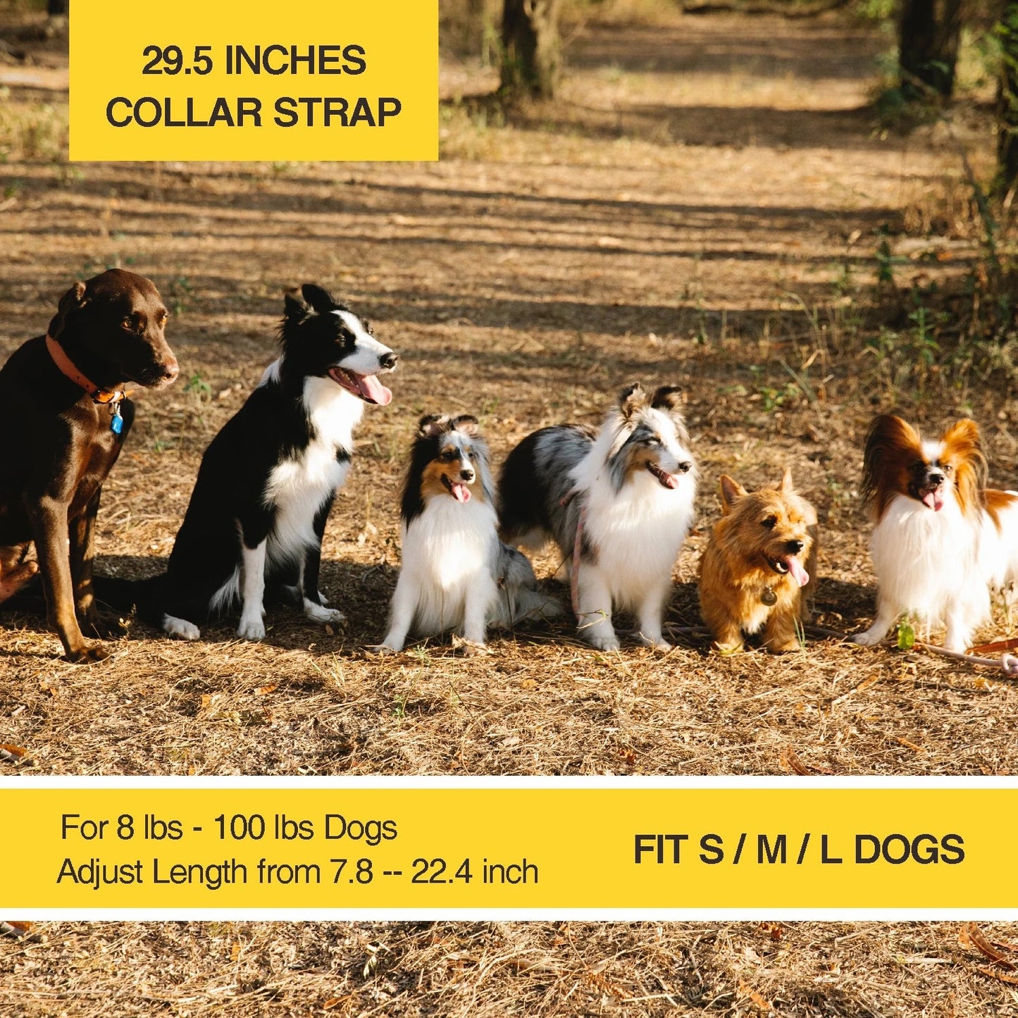 400M Remote Control TPU Dog Collar