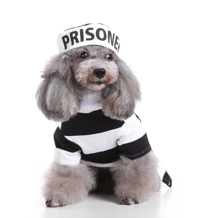 Funny Halloween Prisoner Dog Costume