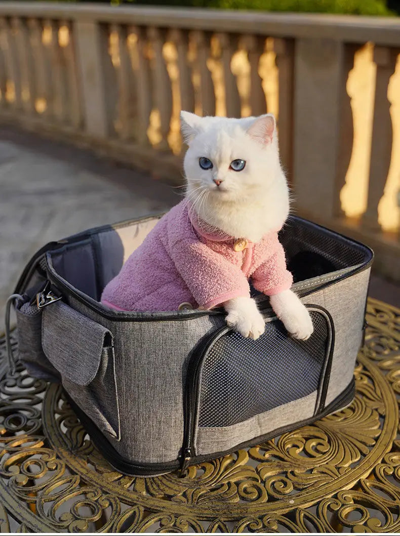 Traveling Mesh Collapsible Pet Carrier Bag