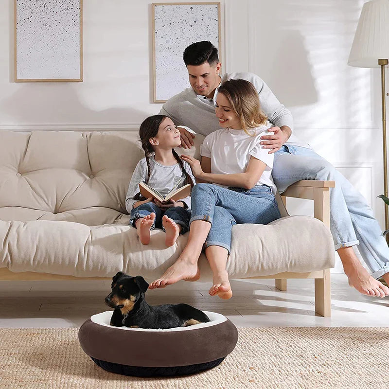 Calming Cozy Cat Bed