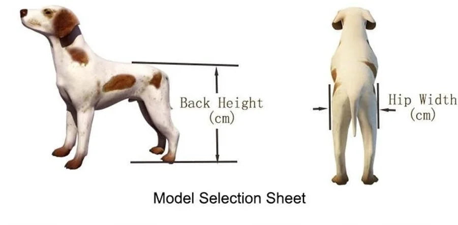 Dog Rear Limb Rehabilitation Wheelchair