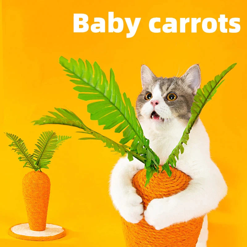 Cute Carrot Cat Climbing Post
