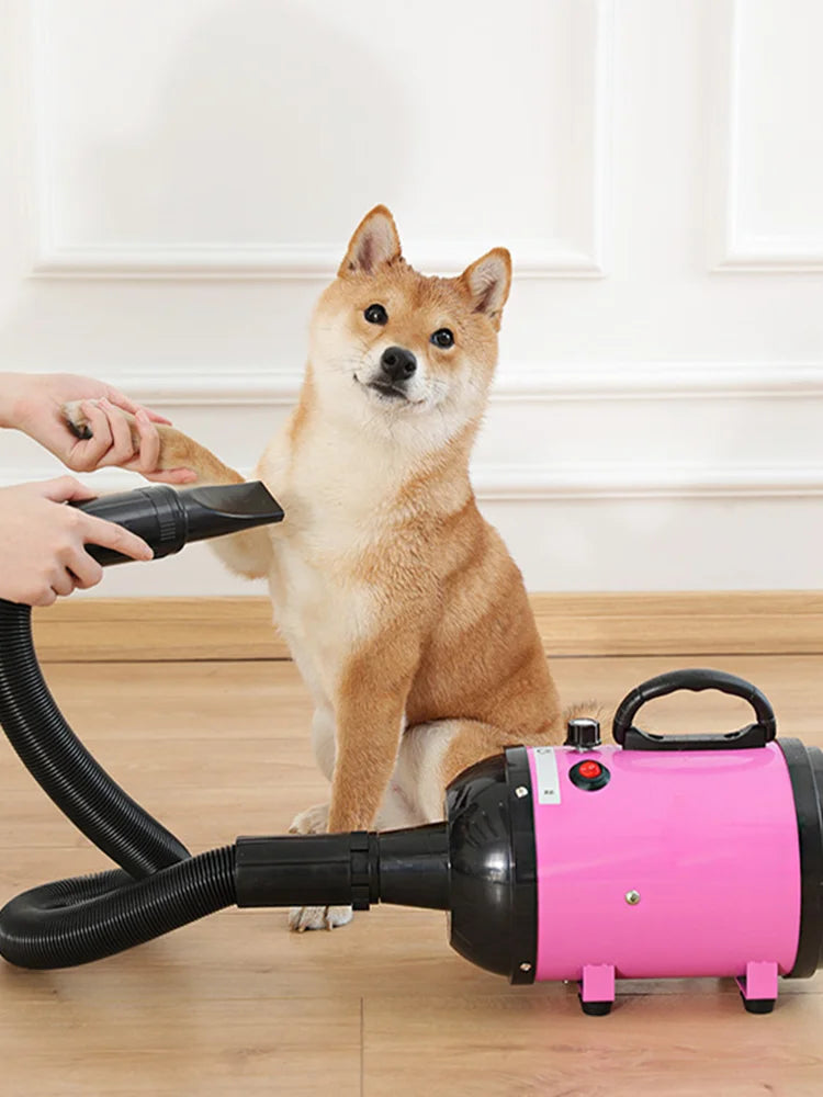 2800W Dog Fast Blow-dryer