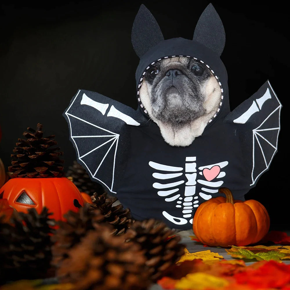Funny Halloween Dog Bat Costume