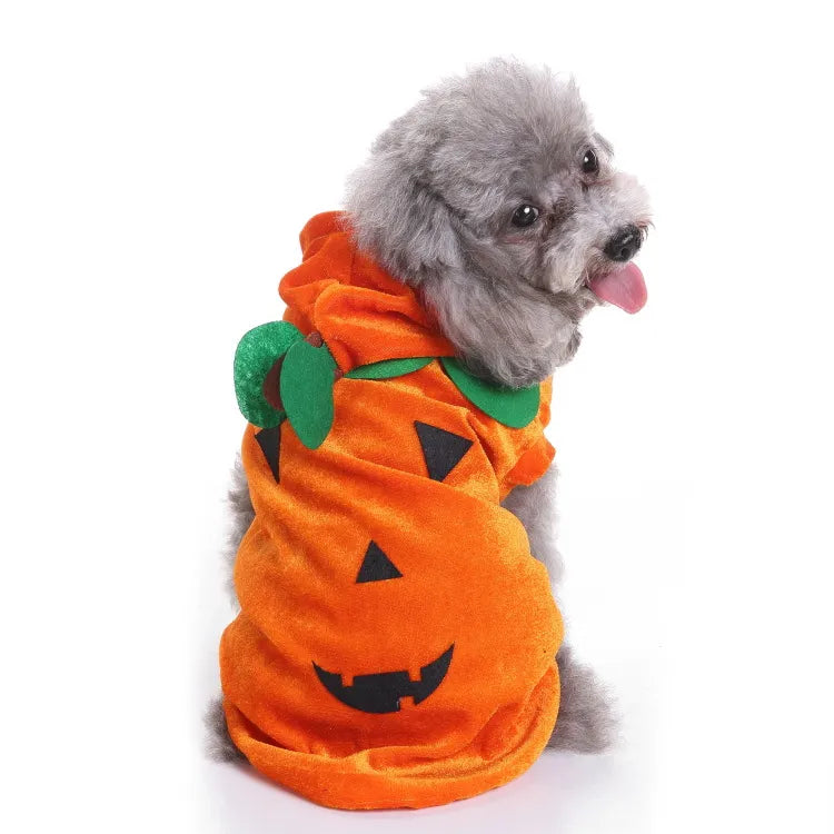 Funny Orange Pumpkin Dog Costume