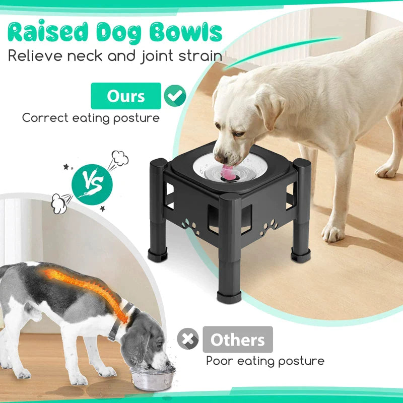 Elevated 3 Height Pet Water Bowl