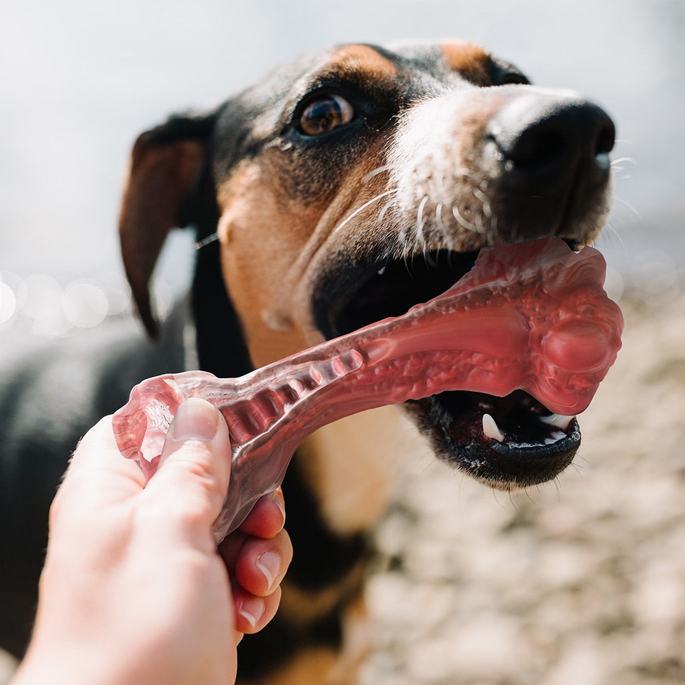 Large Dogs Bone Shaped Indestructible Dog Toys