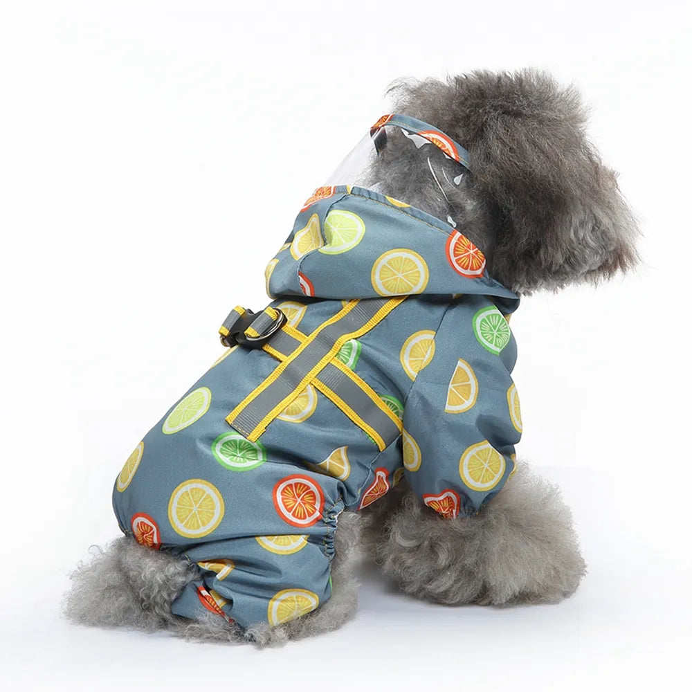 Fruit Print Waterproof Pet Raincoat
