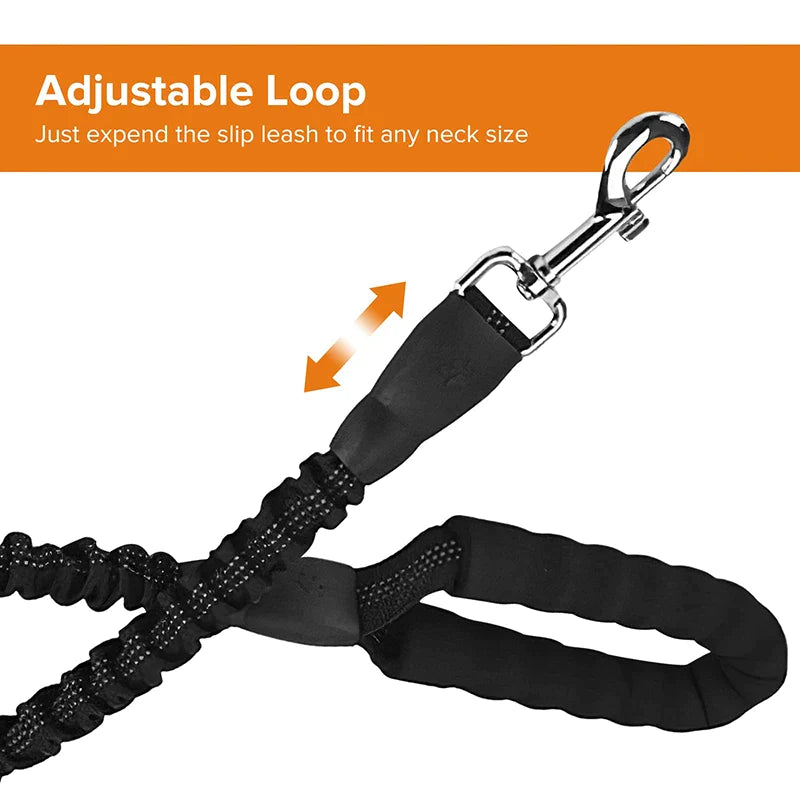 Heavy-duty Metal Clasp Dog Lead