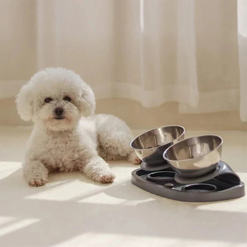 Stainless Steel Raised Double Pet Feeder