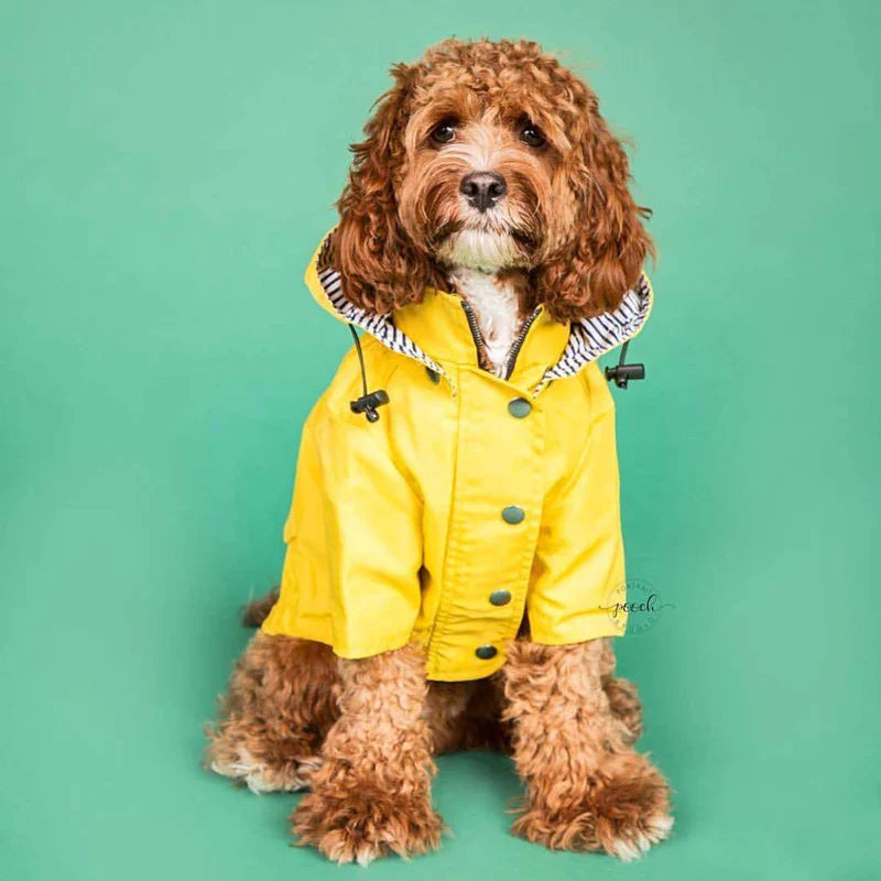 Waterproof Nylon Dog Raincoat