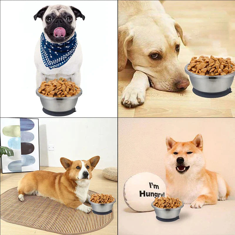 Non-Skidding Stainless Steel Dog Bowl