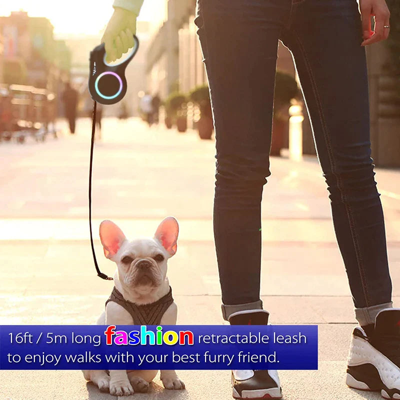 5m LED Light Retractable Dog Leads