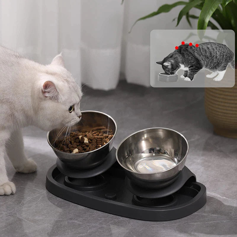 Stainless Steel Raised Double Pet Feeder