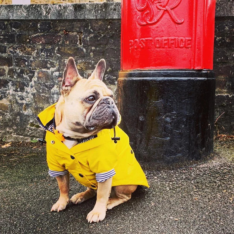Waterproof Nylon Dog Raincoat