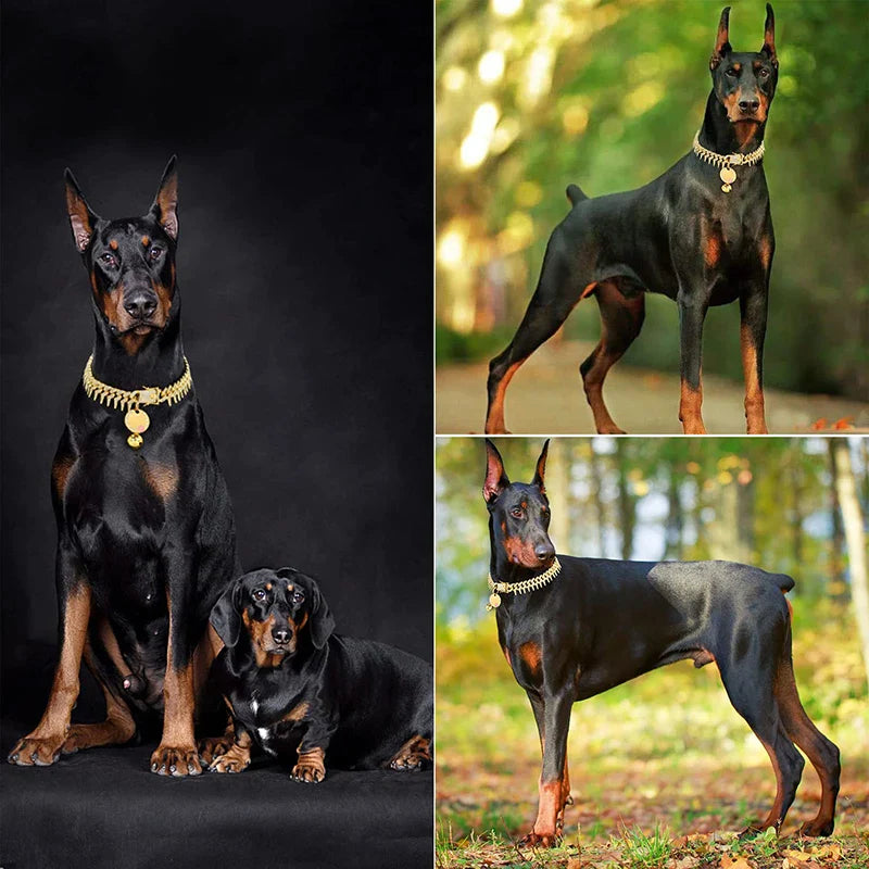 Bling CZ Diamond Gold Dog Collar