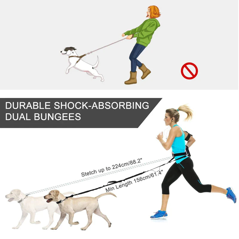 Bungees Reflective 2 Handles Dog Leash