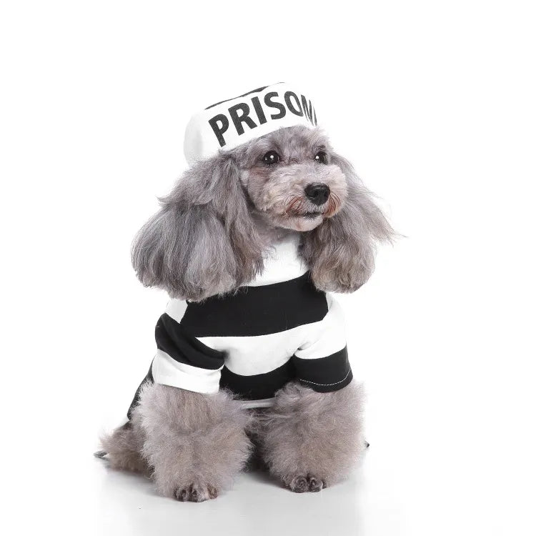 Funny Halloween Prisoner Dog Costume