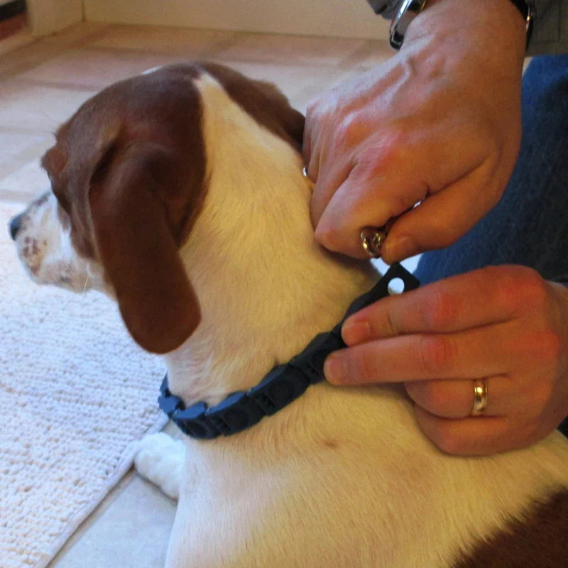 Dog Training Command Collar