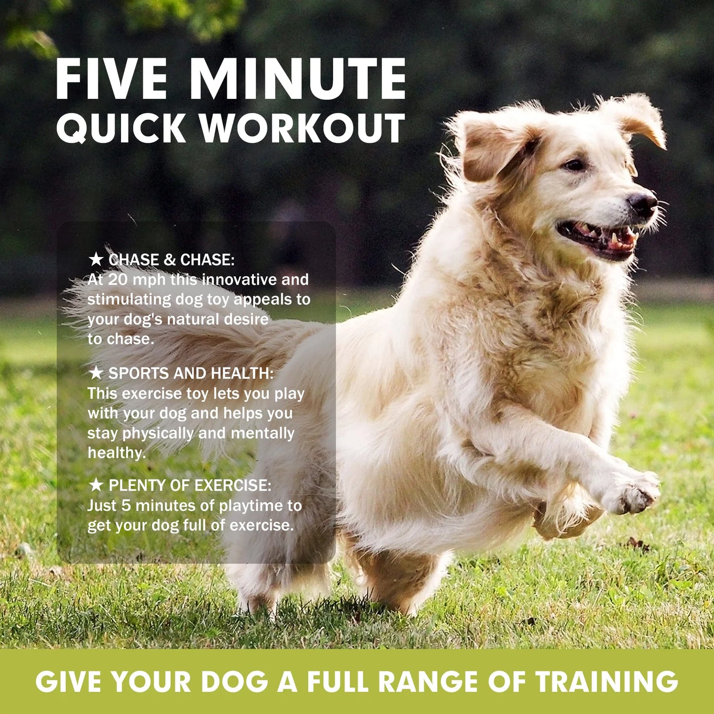 Interactive Dog Toys Chasing Machine