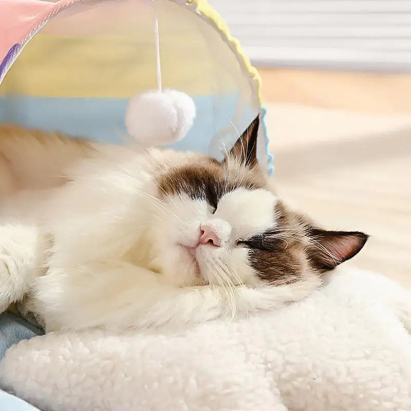 2 In 1 Rainbow Cat Maze & Tunnel