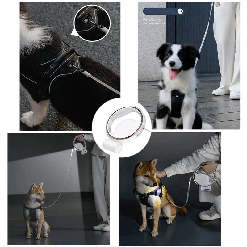 360° Tangle-free Heavy Duty Dog Lead