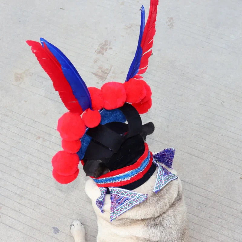 Traditional Peking Opera Dog Costume