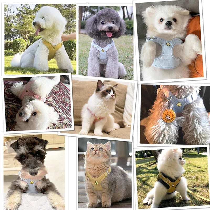 Adjustable Soft No Pull Cute Dog Harness