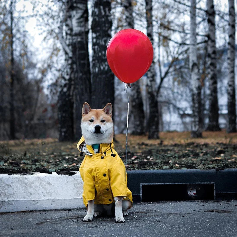 Waterproof Nylon Dog Raincoat