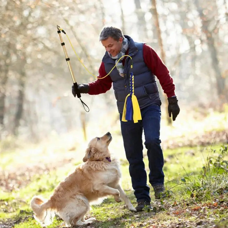 Extendable Dog Teaser Wand Toy