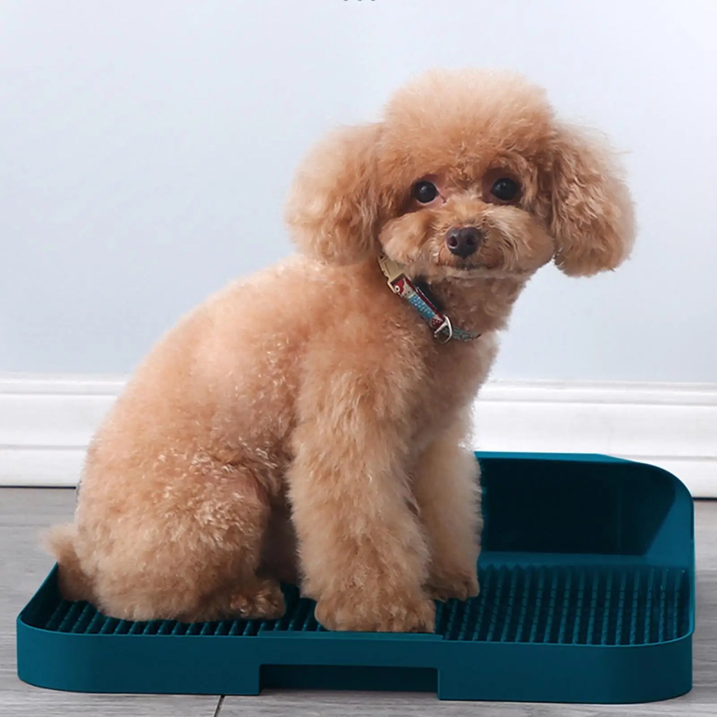 Quality Dog Toilet Potty Trainer Holder