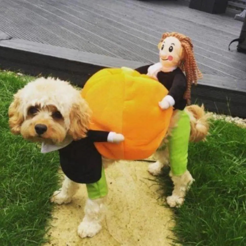 Cute Pumpkin Dog Party Costume